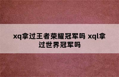 xq拿过王者荣耀冠军吗 xql拿过世界冠军吗